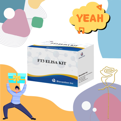 FT3 Freie Triiodothyronin für menschliche Diagnosereagenz-Kits mit 96T ELISA-Test für Klinik-Krankenhauslabor