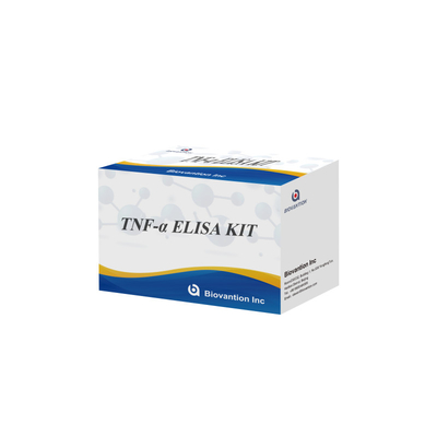 TNF-α RUO Elisa-Test für Serumplasma Genaue und bequeme Diagnoselösung für die Forschung