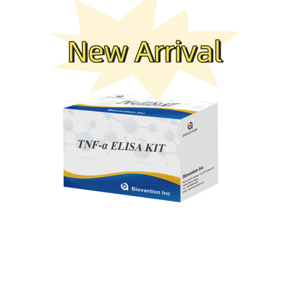 TNF-α RUO Elisa-Test für Serumplasma Genaue und bequeme Diagnoselösung für die Forschung