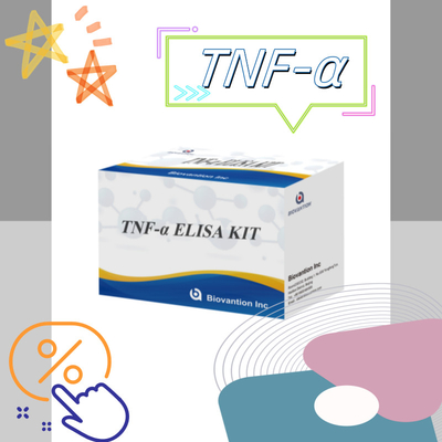 TNF-α RUO Elisa-Test für Serumplasma Genaue und bequeme Diagnoselösung für die Forschung