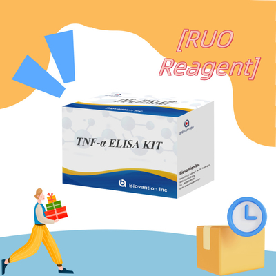 TNF-α RUO Elisa-Test für Serumplasma Genaue und bequeme Diagnoselösung für die Forschung