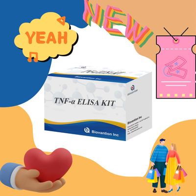 TNF-α RUO Elisa-Test für Serumplasma Genaue und bequeme Diagnoselösung für die Forschung