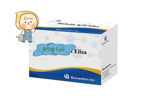 Rubella IgG ELisa Test Kit Fruchtbarkeit Troch Schwangere Frauen verwenden