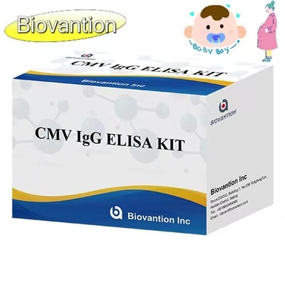 CMV IgG ELISA Kit Schwangere Frauen Präventionstest hohe Genauigkeit