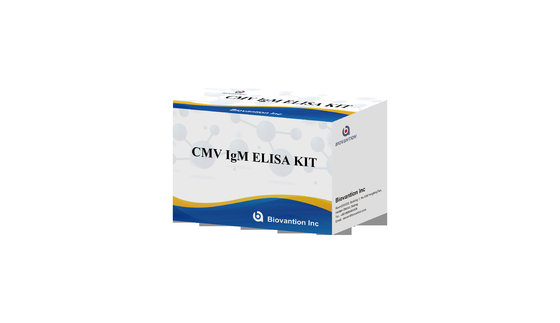 CMV IgM ELISA Kit Hochgenauigkeit Schwangere Frauen Präventionstest