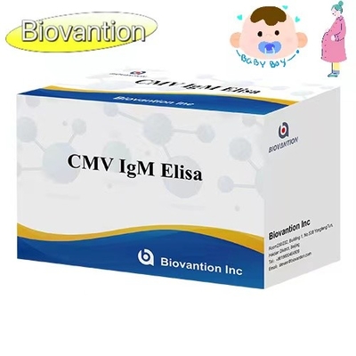 CMV IgM ELISA Kit Hochgenauigkeit Schwangere Frauen Präventionstest