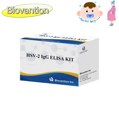 Hochgenaue Gebrauchsanweisung für das HSV-II-IgG-Torch-ELISA-Test-Kit