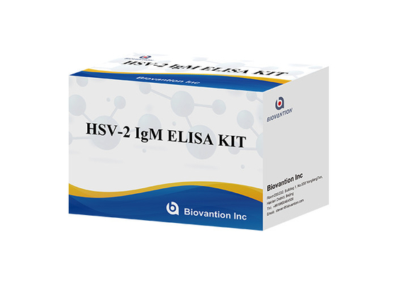 HSV 2 IgM Torch ELISA-Test-Kit Hochgenauigkeitsanleitung zur Anwendung