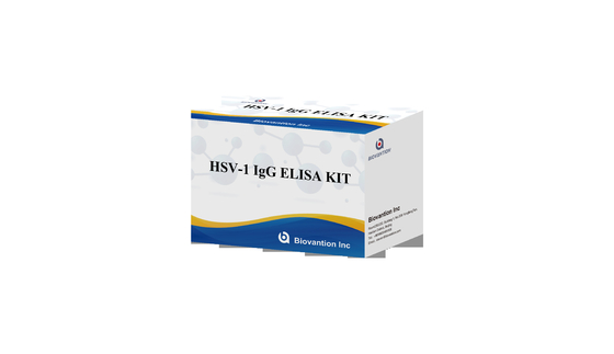 HSV 1 IgG Torch ELISA-Test-Kit Hochverkäufe Diagnosereagenz IVD