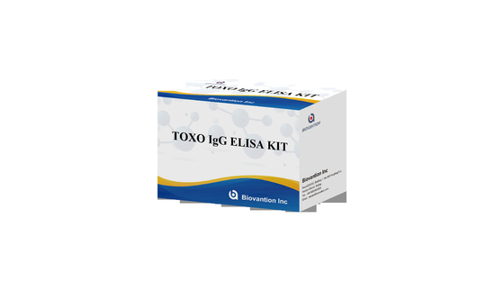 Hochempfindlichkeit von Torch TOXO IgG ELISA Test Kit Krankenhaus-Test Schwangerschaftsprüfung