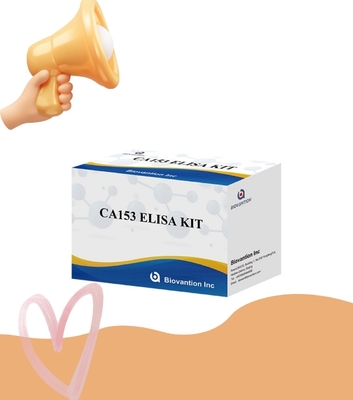 Empfindlichkeit 1 Stunde Schnell-Elisa-Kit für den menschlichen Gebrauch Serum Plasma-Proben nachweis