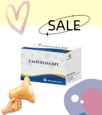 Empfindlichkeit 1 Stunde Schnell-Elisa-Kit für den menschlichen Gebrauch Serum Plasma-Proben nachweis