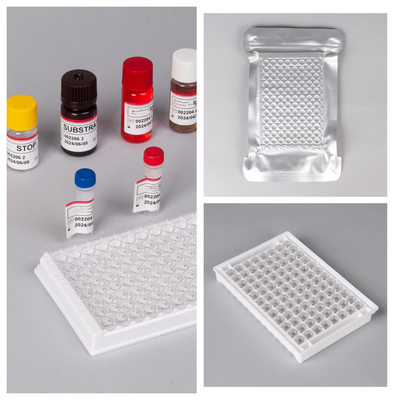 HIV Ab Ag Elisa Testkits mit 18 Monaten Haltbarkeit und hoher Empfindlichkeit/Spezifität