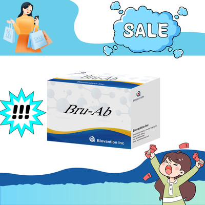 ELISA Tier Bru-Ab Elisa Reagent mit 192 t für Schweine Ziegen Rinder und Schafe