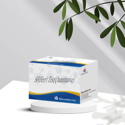 Genaue und schnelle SF ((Ferr) ELISA-Test-Kit Veterinärinstrument zur quantitativen Detektion von Serumferritin