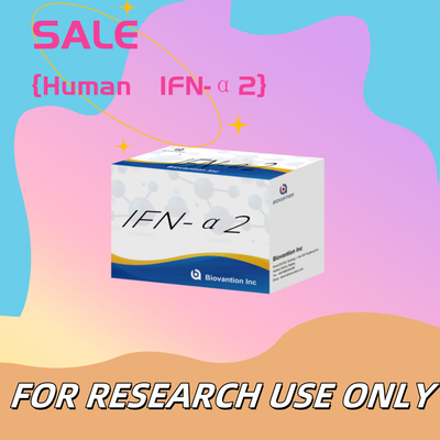 Elisa-Reagenzien Kit Menschliche IFN-α2 für die Forschung Elisa-Reagenzien Hochempfindlichkeit