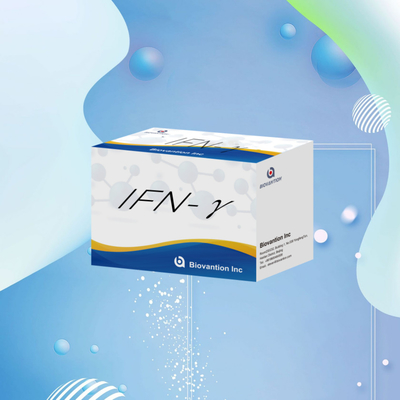 Laboruntersuchungen Elisa Reagenzien Kit für den menschlichen Gebrauch IFN-γ Elisa Reagenzien Hohe Empfindlichkeit