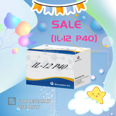 96 T Serum 98% Spezifität ELISA RUO Test Kit Mensch IL-12 P40