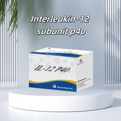96 T Serum 98% Spezifität ELISA RUO Test Kit Mensch IL-12 P40