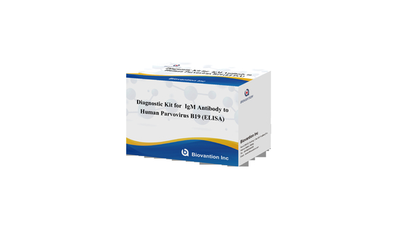 Diagnosekit für menschliches Parvovirus B19 IgG-Elisa-Testkit Antikörper für Serumproben