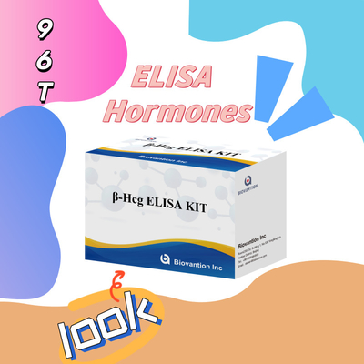β-hCG ((Quantitative) 1 Stunde Elisa-Test-Kit für Empfindlichkeit und Spezifität von Antikörpern