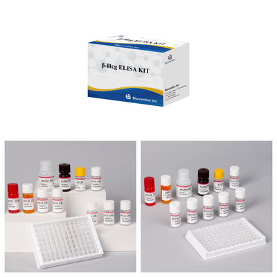 β-hCG ((Quantitative) 1 Stunde Elisa-Test-Kit für Empfindlichkeit und Spezifität von Antikörpern