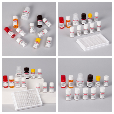 β-hCG ((Quantitative) 1 Stunde Elisa-Test-Kit für Empfindlichkeit und Spezifität von Antikörpern