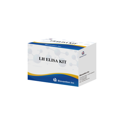 Biovantion ELISA Testkit zur Diagnose des menschlichen Luteinischhormons LH (Quantitative)