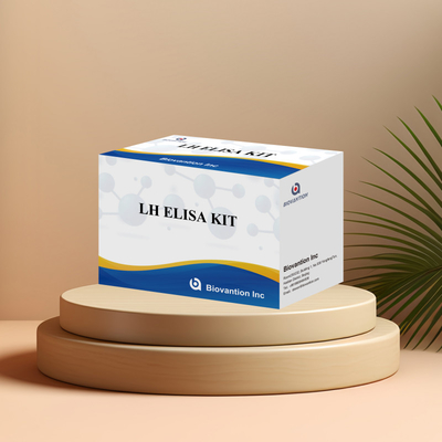 Biovantion ELISA Testkit zur Diagnose des menschlichen Luteinischhormons LH (Quantitative)