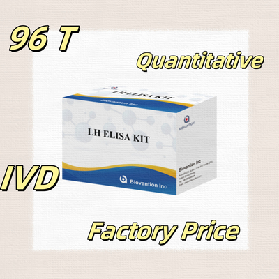 Biovantion ELISA Testkit zur Diagnose des menschlichen Luteinischhormons LH (Quantitative)
