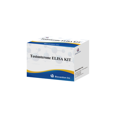 Serumplasma-Proben Elisa menschliches Nachweisreagenz Test0steron Quantitative Elisa-Kit