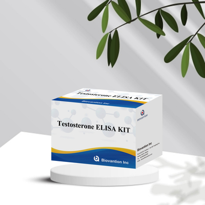 Serumplasma-Proben Elisa menschliches Nachweisreagenz Test0steron Quantitative Elisa-Kit
