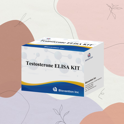 Serumplasma-Proben Elisa menschliches Nachweisreagenz Test0steron Quantitative Elisa-Kit