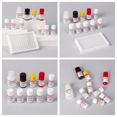 18 Monate Haltbarkeitsdauer Empfindlichkeit FSH (Quantitative) ELISA-Kit für den Nachweis von Antigenen Antikörpern