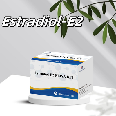 Biovantion Estradiol Quantitative 96-Well Plate Test Kit für Serumproben mit erhöhter Empfindlichkeit