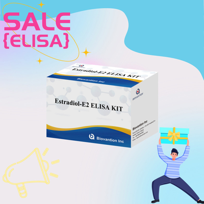 Biovantion Estradiol Quantitative 96-Well Plate Test Kit für Serumproben mit erhöhter Empfindlichkeit