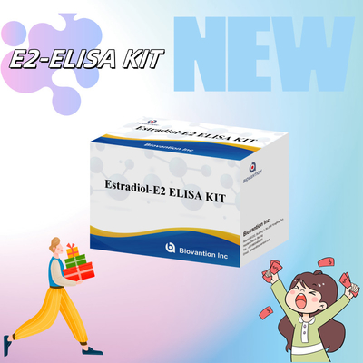 Biovantion Estradiol Quantitative 96-Well Plate Test Kit für Serumproben mit erhöhter Empfindlichkeit