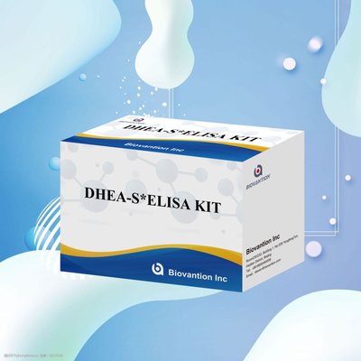 Biovantion Test Dehydroepiandrosteronesulfat DHEA-S Sensible Elisa Test Kit