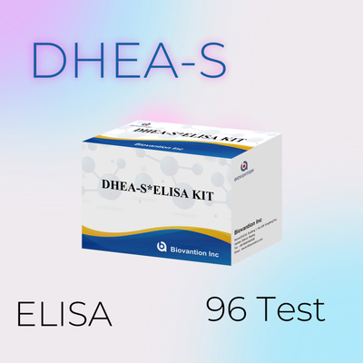 Biovantion Test Dehydroepiandrosteronesulfat DHEA-S Sensible Elisa Test Kit