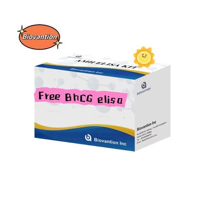 Gebührenfreier BHCG Elisa Testkit Serum Lagerung 2-8.C Haltbarkeitsdauer 18 Monate