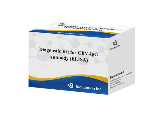 Diagnose-Kit für CBV-IgG-Antikörper ELISA-Test-Kit Serum-Test-Kit