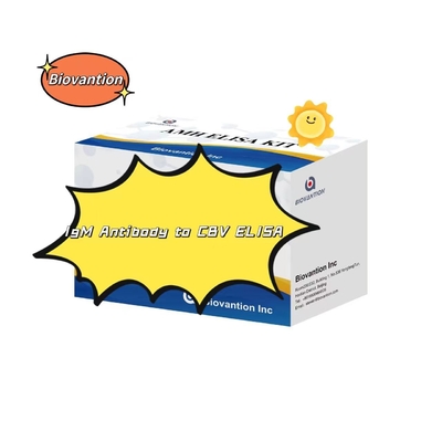 Diagnose-Kit für IgM-Antikörper gegen CBV Elisa Test-Kit 50μL Serum Medizinische Diagnose