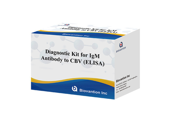 Diagnose-Kit für IgM-Antikörper gegen CBV Elisa Test-Kit 50μL Serum Medizinische Diagnose