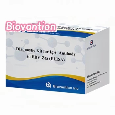 Diagnosepaket für IgA-Antikörper gegen EBV-Zta ELISA-Test-KIT Immunsorptionstest-Kit