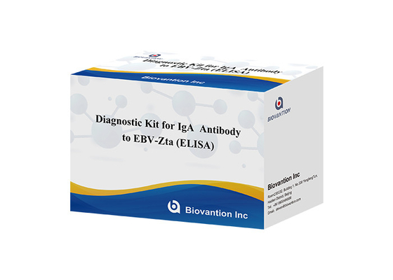 Diagnosepaket für IgA-Antikörper gegen EBV-Zta ELISA-Test-KIT Immunsorptionstest-Kit
