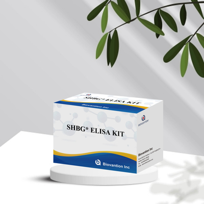 Biovantion SHBG-Test Sensitiv Elisa-Test-Kit
