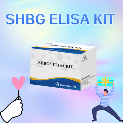 Biovantion SHBG-Test Sensitiv Elisa-Test-Kit
