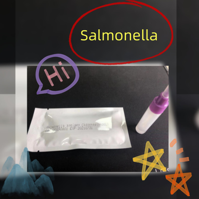 24 Monate Haltbarkeitsdauer Salmonella Typhoid Antigen Test S. Typhoid Cassett Kolloidal Gold Schnelltest Cassette