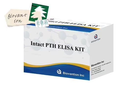 Unversehrtes PTH 96-Mess-ELISA-Test-Kit für Plasmaproben mit einer Prüfzeit von 1 Stunde