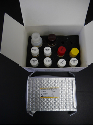 AMH ELISA Testkit 3 Stunden 18 Monate Haltbarkeit mit CE ISO13485